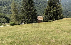 Su richiesta, Certara, Ticino 6959