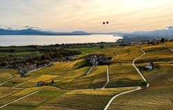 Rolle, Vaud 1180