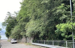 Bissone, Ticino 6816