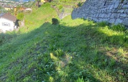 Cugnasco, Ticino 6516