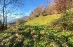 Cademario, Ticino 6936