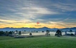 Widenfeld 2, Sennwald, St. Gallen (canton) 9466