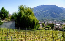 Sierre, Valais 3960