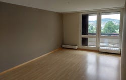 Sihlweidstrasse 56, Zürich, Zürich (canton) 8041