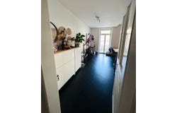 Basel, Basel-Stadt (canton) 4053