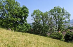 Bergmattenweg, Pfeffingen, Basel-Landschaft (canton) 4148