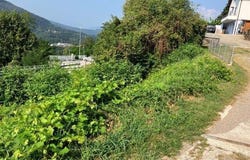Termine, Termine, Ticino 6998
