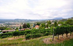 Morbio Superiore, Morbio Superiore, Ticino 6835