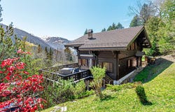 Gryon, Vaud 1882