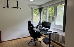 Zürich, Zürich (canton) 8037