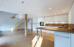 Fehraltorf, Zürich (canton) 8320