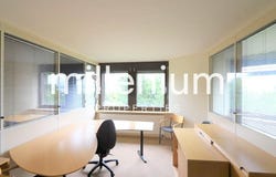 Tannay, Mies, Vaud 1295