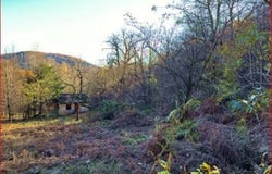 Zona Boiacch, Alto Malcantone-Breno, Ticino 6937