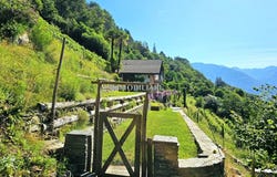 Gudo, Ticino 6515