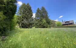 Centre du village de Rougemont, Rougemont, Vaud 1659