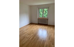 Antoniusstrasse 4, Wettingen, Aargau 5430
