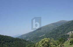 Su richiesta, Certara, Ticino 6959