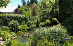 Beinwil am See, Aargau 5712