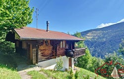 Vex, Valais 1981