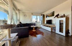 Langenthal, Bern (canton) 4900