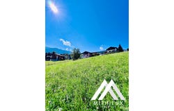 La Courtenâ, Basse-Nendaz, Valais 1996