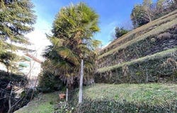 Bellinzona, Ticino 6500