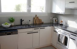 Glarus, Glarus (canton) 8750