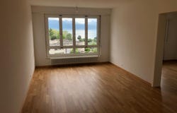 Route de Taillepied 102, Lutry, Vaud 1095