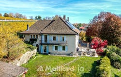 Lavigny, Vaud 1175