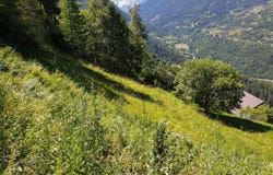 Le Fio, Haute-Nendaz, Valais 1997