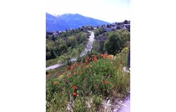 Mollens VS, Valais 3974