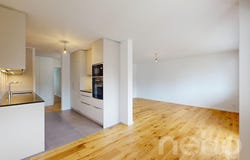 Dübendorf, Dübendorf, Zürich (canton) 8600