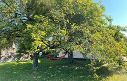 Niederdorf 4, Liesberg Dorf, Basel-Landschaft (canton) 4254