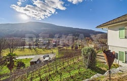 Monteggio, Ticino 6988