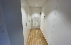 Wetzikon ZH, Zürich (canton) 8620