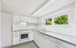 Schaffhausen, Schaffhausen (canton) 8207