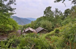 Mezzovico, Ticino 6805
