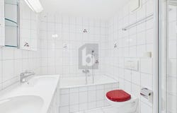 Niederhasli, Zürich (canton) 8155