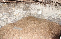 Borgnone, Ticino 6658