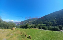 Route de Mayoux 14, St-Jean VS, Valais 3961