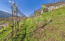 Ponte Cremenaga, Ticino 6998