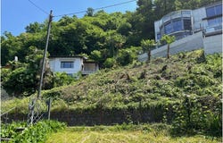 Gambarogno, Ticino 6573