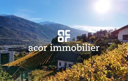 Mnt du Château, Sierre, Valais 3960