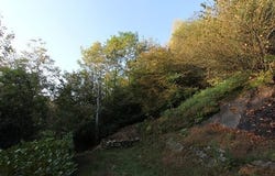 Brissago, Ticino 6614