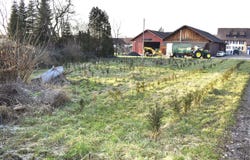 Kirchweg, Zufikon, Aargau 5621