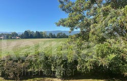 Commugny, Vaud 1291