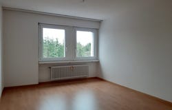 Wannenfeldstrasse 83, Frauenfeld, Thurgau 8500