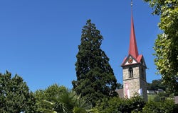 Weggis, Lucerne (canton) 6353