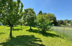 Via 1, Coldrerio, Ticino 6877