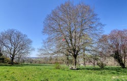 Route du Village 11, Vulliens, Vaud 1085